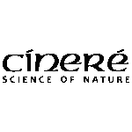 cinere_prev_ui